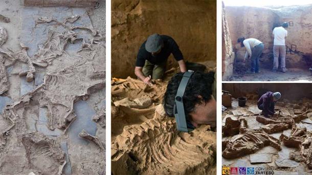 Los arqueólogos están trabajando en el sitio de Casas del Toronuelo en España, donde se han descubierto evidencias de sacrificios masivos de animales.  (Constructo Tartisu / CC-BY 4.0)