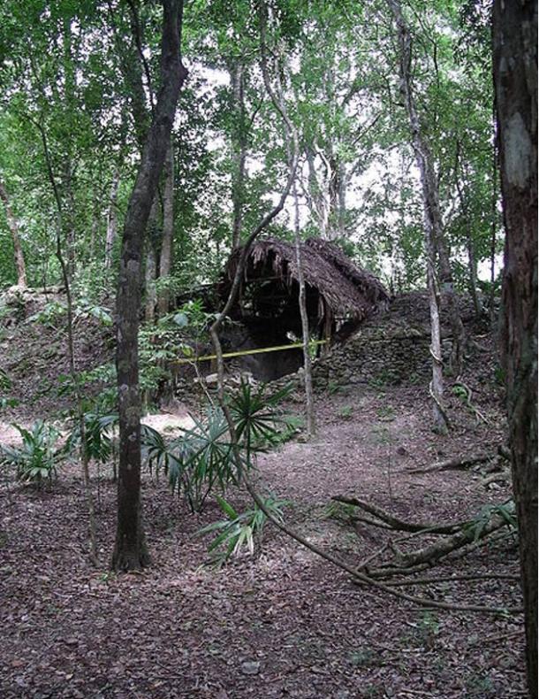 An example of Archaeology Under the Canopy in Plaza Axcanan at El Pilar. Notice the partial exposure of the outer wall of the monument, while the inner walls are protected by the thatched roof. The rest of the monument is protected by plant foliage and soil so it will be preserved for future generations.