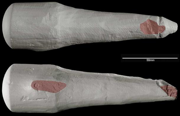 Areas of damage on the Vindolanda phallus as revealed by 3D scans. (R. Sands / Antiquity)
