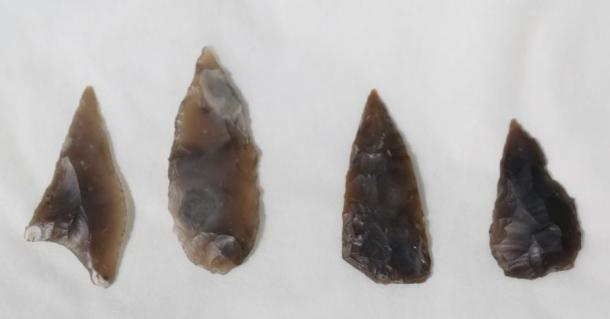Arrowheads found at the site