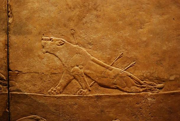 British Museum, Assyrian collections (Room 10, British Museum)