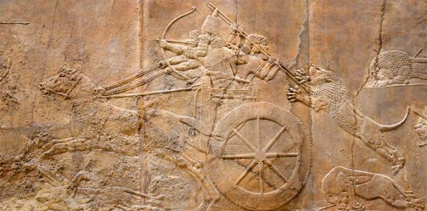 Assyrian relief of lions and warriors, ancient art of Mesopotamia. (scaliger/Adobe Stock)
