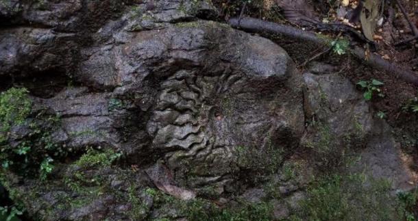 ‘Atahualpa’s crown.’