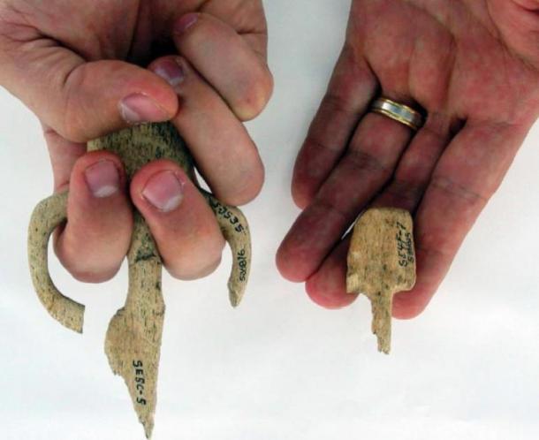 Atlatl hand grips recovered from Par-Tee, highlighting the difference in size between some of the objects. (Losey et al.)