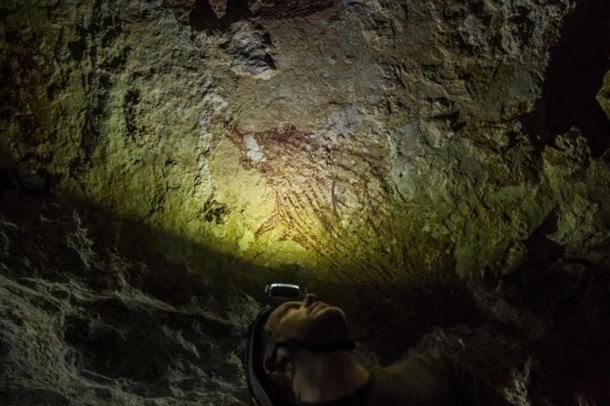 Aubert examining one of the images of a babirusa (wild pig). Sulawesi, Indonesia. 