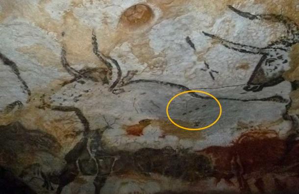 Pintura de toro uro de la cueva de Lascaux, con las cuatro puntas señaladas. (JoJan/CC POR 4.0)