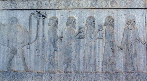 The Bactrian tributes depicted in the Apadana include a Bactrian camel (Mostafameraji / CC BY-SA 4.0)