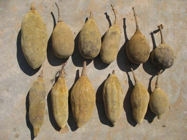 Baobabfrukt: Författaren har uppgett