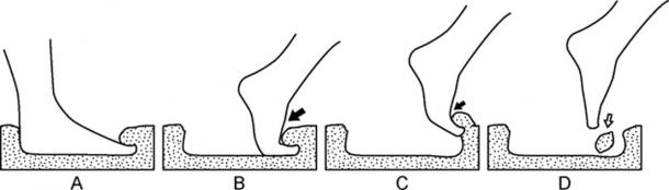 Based on foot printing tests they conducted, scientists think the print comes from a straight down step. The diagram shows the different type of prints that could be made with different angles and pressure. (Universidad Austral de Chile)
