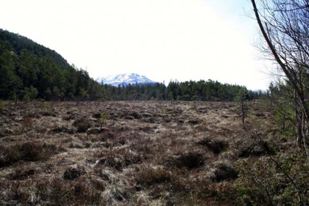 Bay and marsh on the Hoddøya Island. (Photos: Daniel Christiansen / ThorNews)
