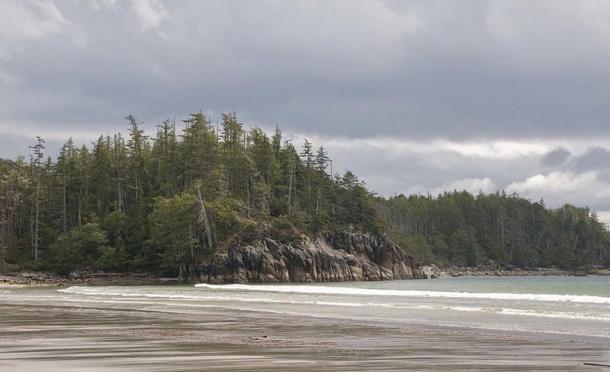 Beach on Calvert Island, British Columbia Coast, Canada