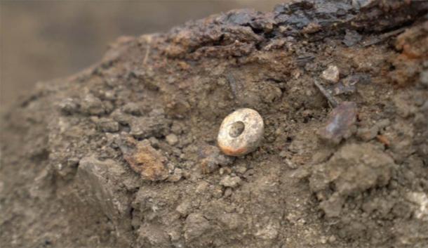 Bead found at the latest burial site. (Russian Highways)