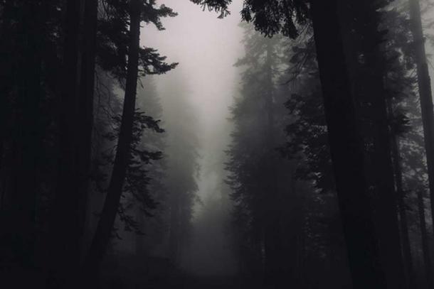Estar en el bosque oscuro era un territorio peligroso.