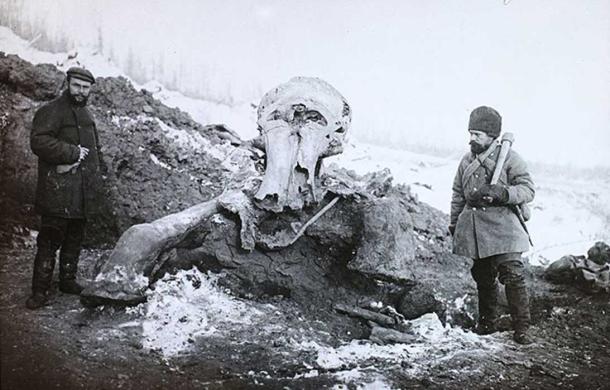 Berezovka Mammoth. (FORTEPAN / Magyar Földrajzi Múzeum / Diagyűjtemény/CC BY SA 3.0)