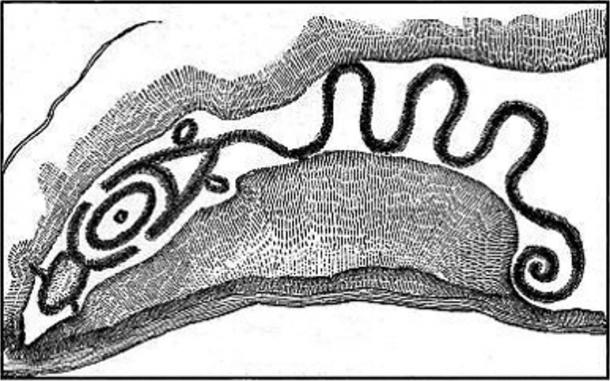 Big Serpent Mound, Ohio, McClen 1885 sketch. Credit: Indigenous Peoples Research Foundation.