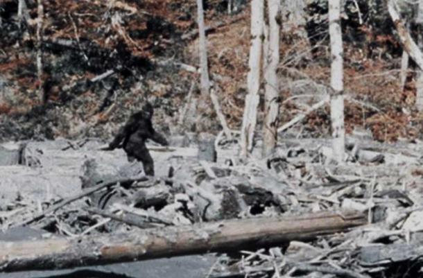 Bigfoot en la película Patterson-Gimlin. 