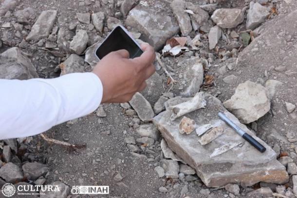 Bones and stones recovered at the site. 