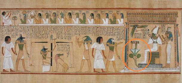 The Book of the Dead of Hunefer. (Public Domain)