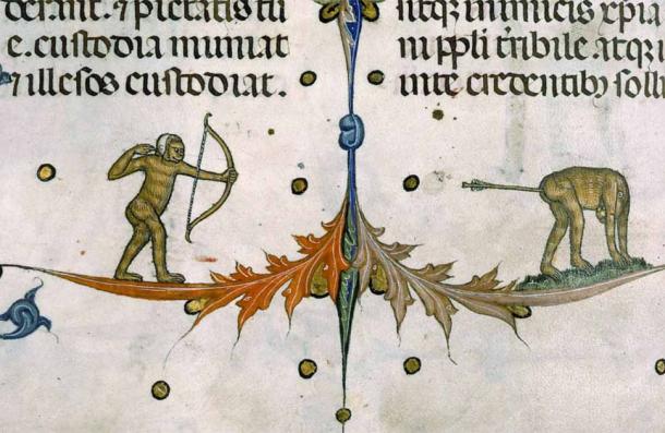 Accurate hit of the target!  Monkey archer in the papacy by Guillaume Durand, Avignon, before 1390 Paris, Bibliotheca Alexandrina, Ms.  143, paper.  145 volts