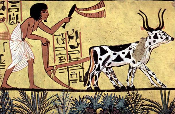 Burial chamber of Sennedjem, Scene: Plowing farmer.