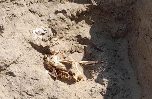 Burial of a young individual buried at the base of the huaca. 