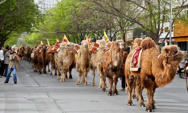 Camels and tea merchants travel through the streets of Zhangye as they retrace the ancient Silk Road route to Kazakhstan.