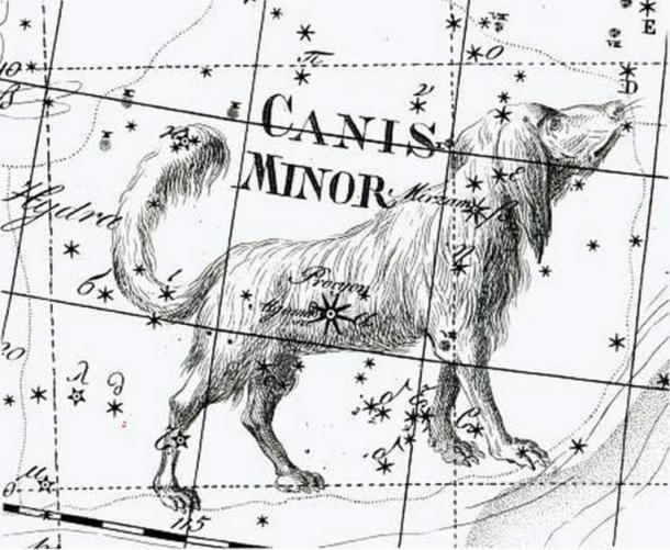 19th century illustration of Canis Minor 