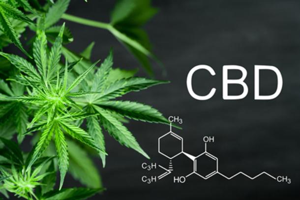 Cannabidiol, CBD, is from the entire cannabis plant. (cendeced / Adobe Stock)