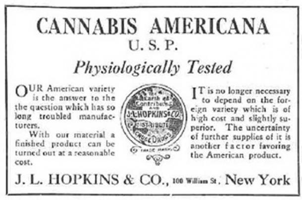 Cannabis Americana Distributor logo, United States, 1917. (Public Domain)