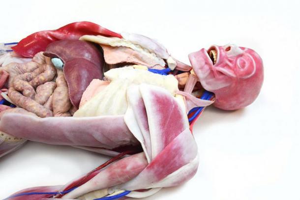 Cannibalism implies the consumption of blood whereas necrophagy is the consumption of the flesh of the dead. (Tech-Labs)