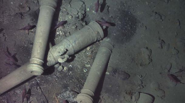 Cannons with dolphins engraved on them are the key distinguishing feature of the wreck. Source: REMUS image, Woods Hole Oceanographic Institution