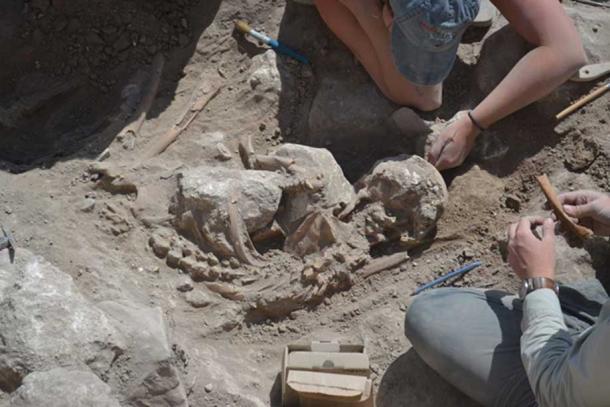 Careful excavation of remains of adult found just outside the industrial room in Gezer
