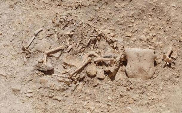 L'excavation révèle un enterrement celtique bizarre avec des arrangements d'os hybrides humains et animaux