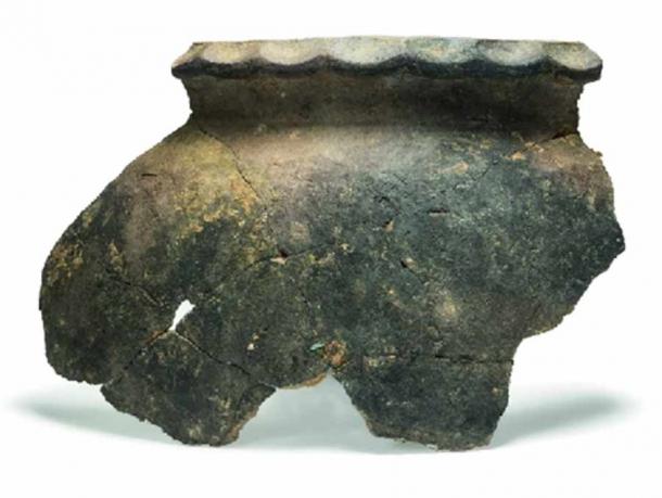 Se analizaron fragmentos de cerámica como este del vertedero medieval de Oxford, utilizando muestras microbiológicas, para ver qué restos de comida podrían haber allí. (Dunne et al. / Ciencias Arqueológicas y Antropológicas)