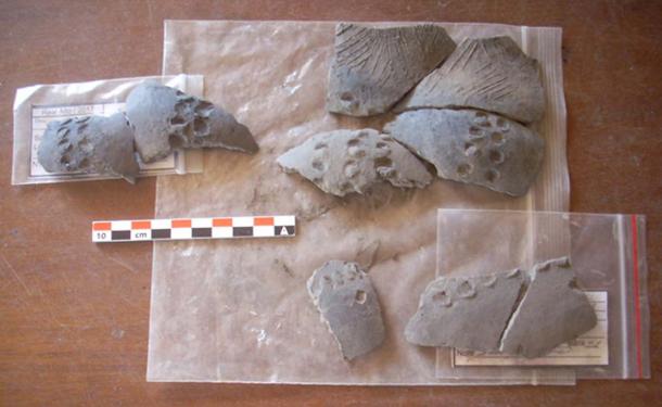 Ceramics found by FEFU at the excavation site in Real Alto, Ecuador. (Far Eastern Federal University)
