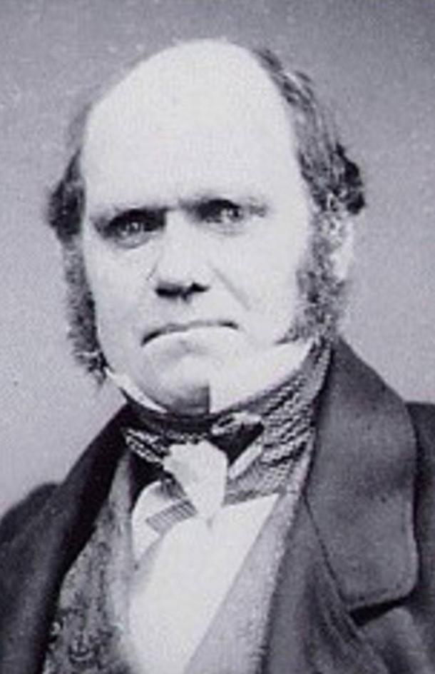 Charles Darwin, put the white Christian male at the pinnacle of evolution.