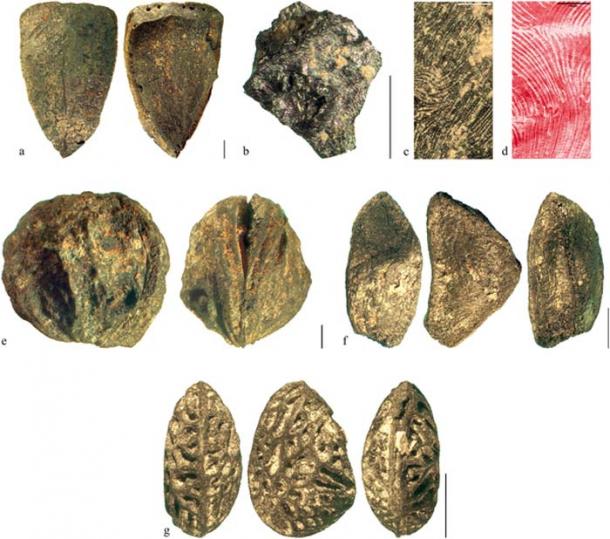 Charred remains of wild edible fruit plants from the Prigglitz-Gasteil Bronze Age mining camp including hazel nuts, crab apples and berries. (A. G. Heiss et al. / PLOS ONE)