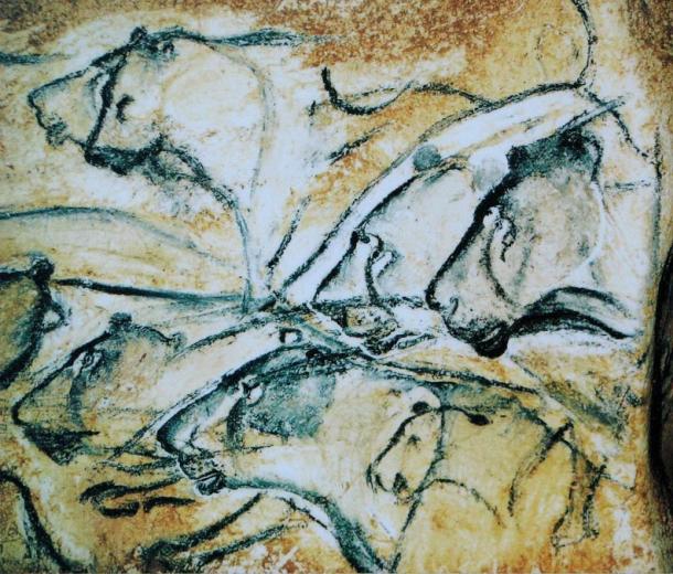 These reproductions of paintings from Chauvet cave are believed to represent lionesses because of the absence of manes. The paintings from Chauvet, unlike many other Stone Age caves in Europe, show predominantly dangerous animals.