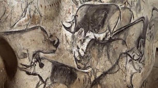Chauvet cave paintings