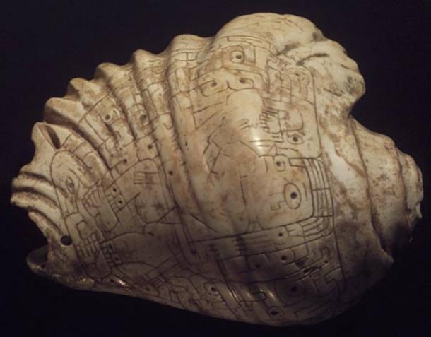 Chavin artifact. Incised Strombus-Shell Trumpet, 400-200 BC