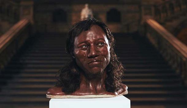 The model of Cheddar Man rendered by Kennis & Kennis Reconstructions (Image: ©Tom Barnes/Channel 4)