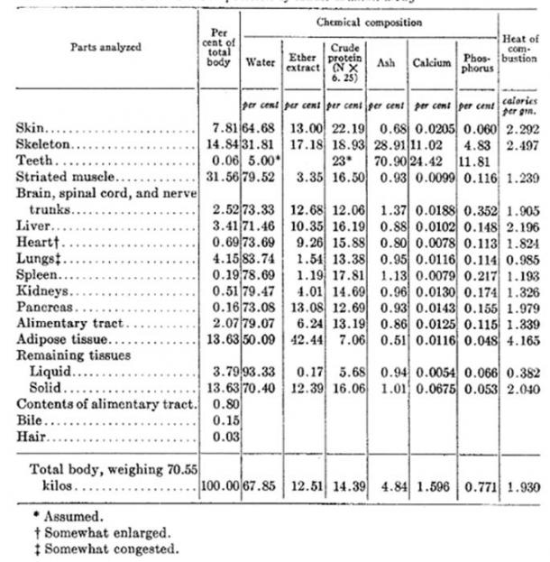 Chemical composition of adult human body.