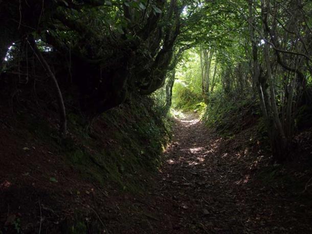 Cherry was led down paths and through tunnels.