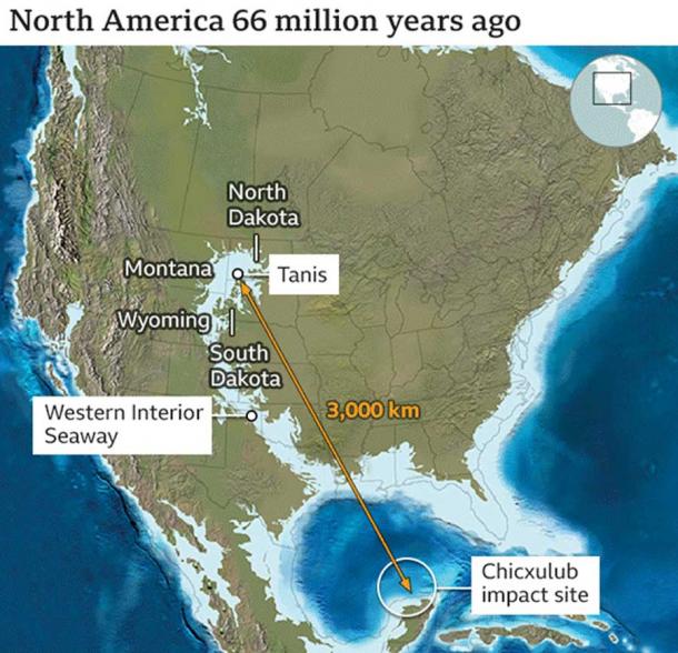 The Chicxulub Yucatan asteroid hit the Caribbean Sea and somehow cleanly severed the dinosaur’s leg on the same day 3,000 kilometers (1,864 miles) away. (Ron Blakely / Colorado Plateau Geosystems)