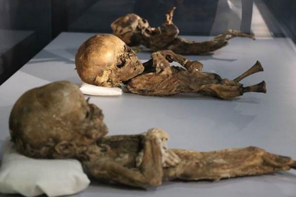 Child mummies in the Aksaray Museum. (IHA/ Daily Sabah)