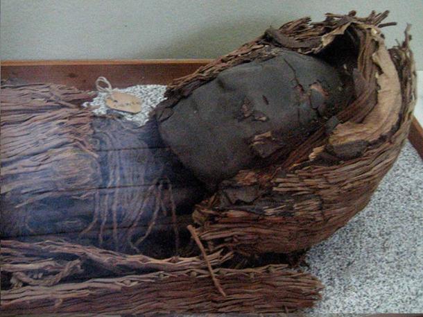 Chinchorro mummy, one of the oldest preserved in the world, at the museum in San Miguel de Azapa, Arica, Chile.