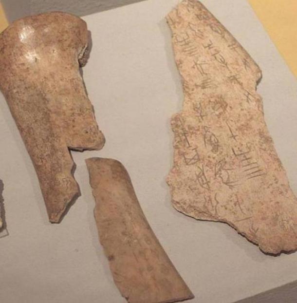 Chinese Oracle Bones, Shang Dynasty Linden-Museum, Stuttgart (Germany).