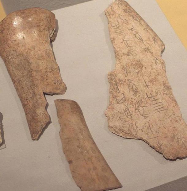 Chinese Oracle Bones, Shang Dynasty Linden-Museum, Stuttgart 