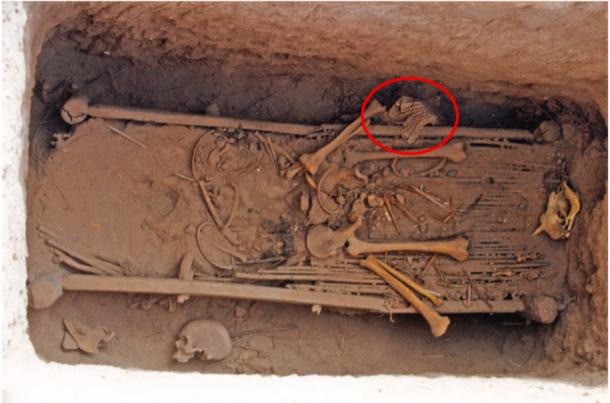 La tumba china IIM127 Yanghai con la posición del resto de la armadura de cuero indicada por el círculo rojo. (Administración Turfan de Reliquias Culturales / Quaternary International)