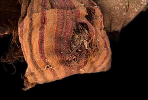 Chuspa bag with coca leaves from San Francisco cemetery (D. Socha / Journal of Archaeological Science)